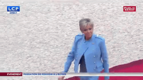 Brigitte Macron GIF - Brigitte Macron GIFs