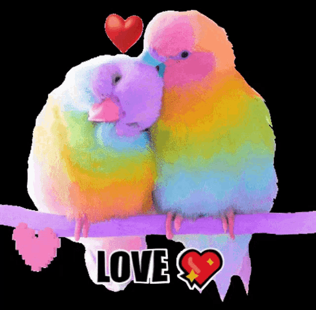 a couple of colorful birds sitting on a branch with the word love written below them