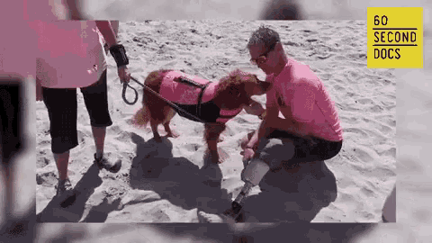 a man with a prosthetic leg is petting a dog that is wearing a life jacket on the beach .