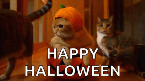 Happy Halloween GIF - Happy Halloween Cute GIFs