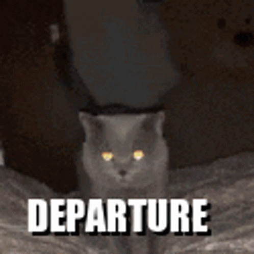 Departure Kitty GIF - Departure Kitty Cat GIFs