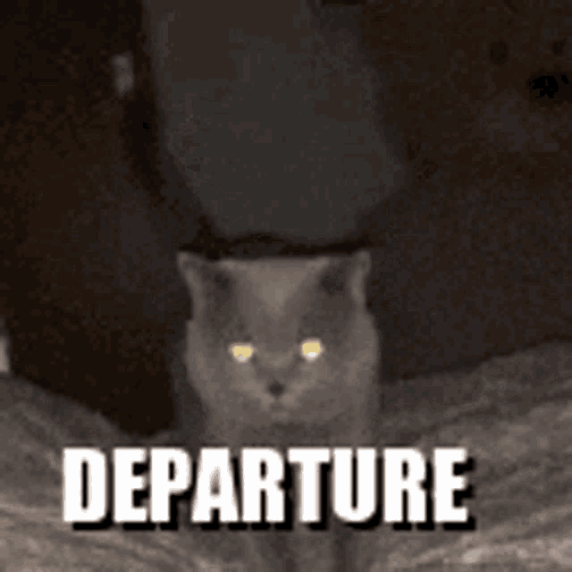 a black and white photo of a cat with the word departure written on it