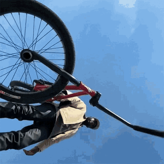 a man is doing a trick on a red bicycle with a sticker on the front that says ' fat tire '