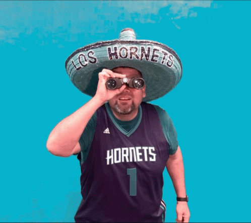 Charlotte Hornets GIF - Charlotte Hornets Loshornets GIFs