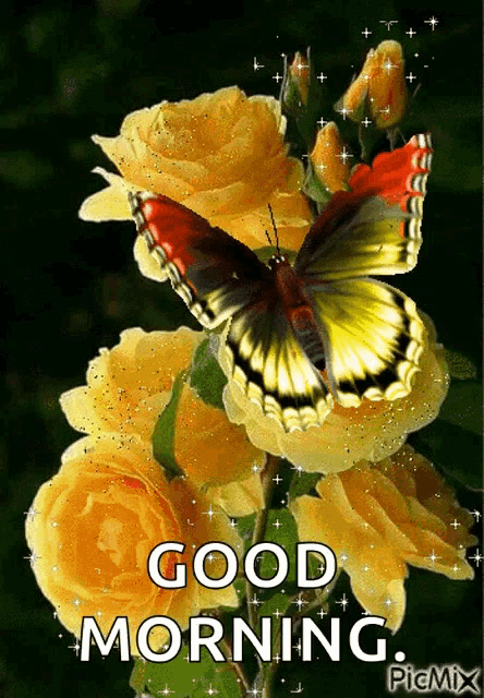 a butterfly is sitting on a yellow rose with the words good morning written below it