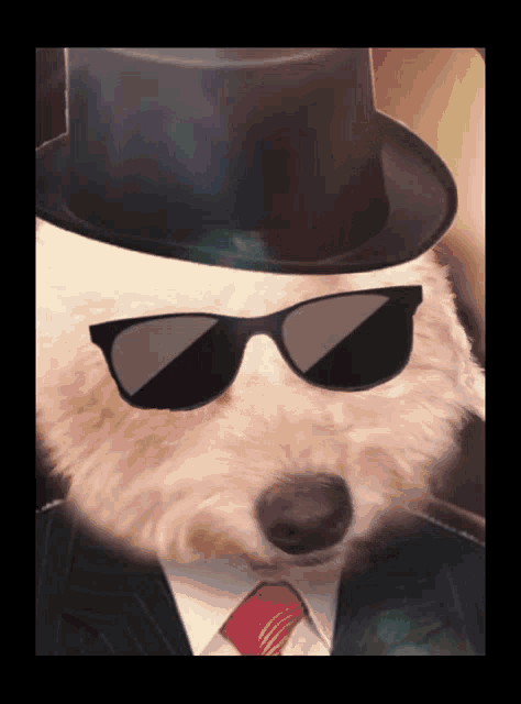 a dog wearing a top hat sunglasses and a tie