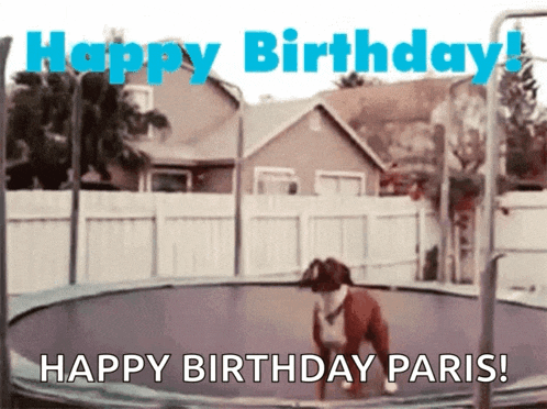a dog jumping on a trampoline with the words happy birthday paris written below it