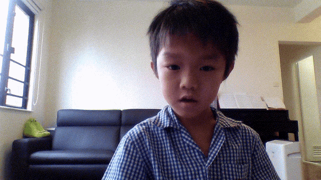 a young boy in a blue and white plaid shirt is looking at the camera