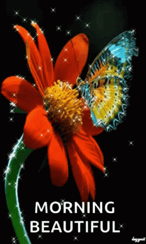 Flower Butterfly GIF - Flower Butterfly Glitter GIFs