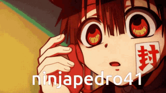 ninjapedro41 is the name of the anime character