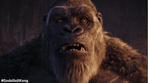 Shocked Kong GIF - Shocked Kong Godzilla GIFs
