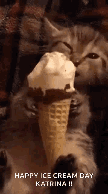 a kitten is eating an ice cream cone on ice cream day