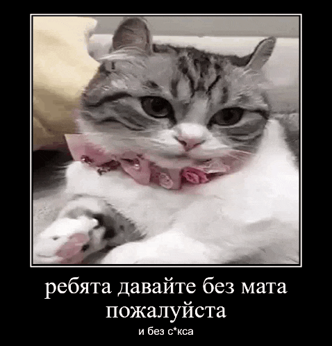 a cat with a pink collar is laying down on a couch .