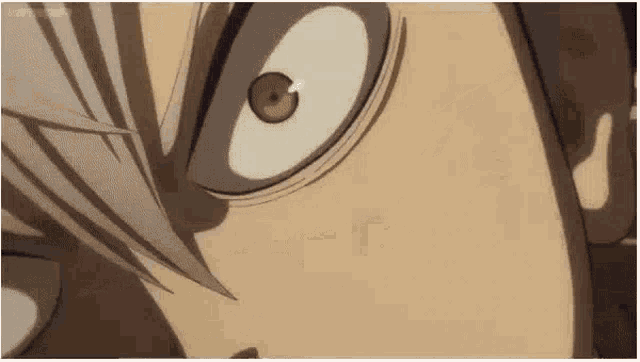 a close up of a person 's face with big eyes and a gray hair .