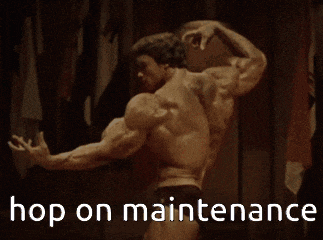 arnold schwarzenegger flexing his muscles with the words hop on maintenance written below him