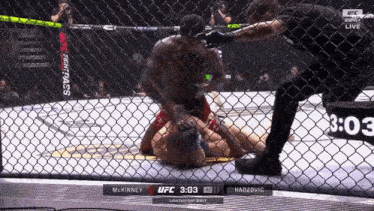 a ufc fight between mckinney and hadzovic is being shown
