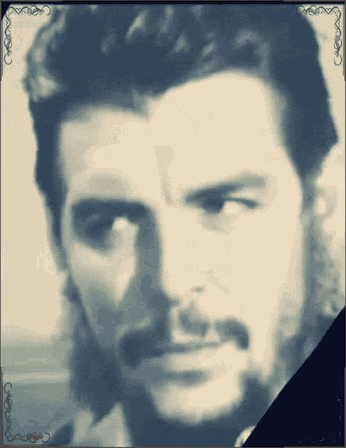 a close up of a man 's face with a beard and mustache