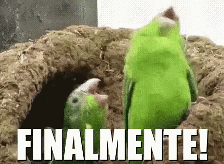two green birds are standing next to each other with the words finalmente in the corner