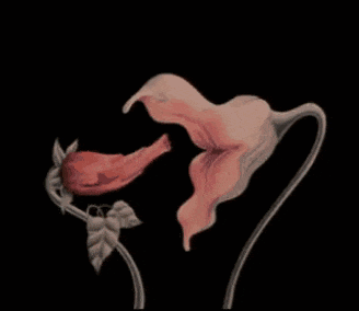 a drawing of a flower that looks like a person 's face