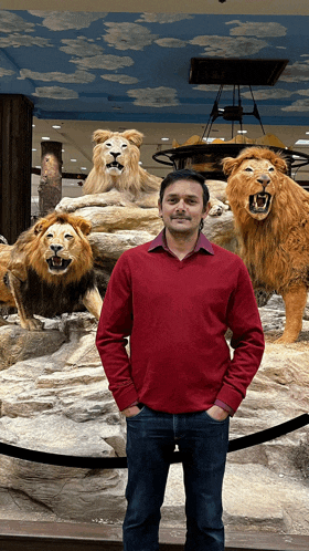 a man in a red sweater is standing in front of a display of stuffed lions
