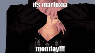 a cartoon character with pink hair says it 's marluxia monday !!!