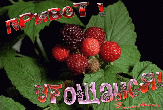 a bunch of raspberries are surrounded by green leaves and the word raspberry is visible