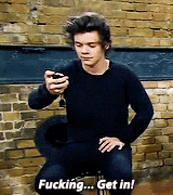 Harry Styles Fucking GIF - Harry Styles Fucking Get In GIFs