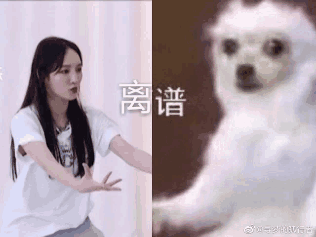 a picture of a woman and a picture of a dog with chinese writing