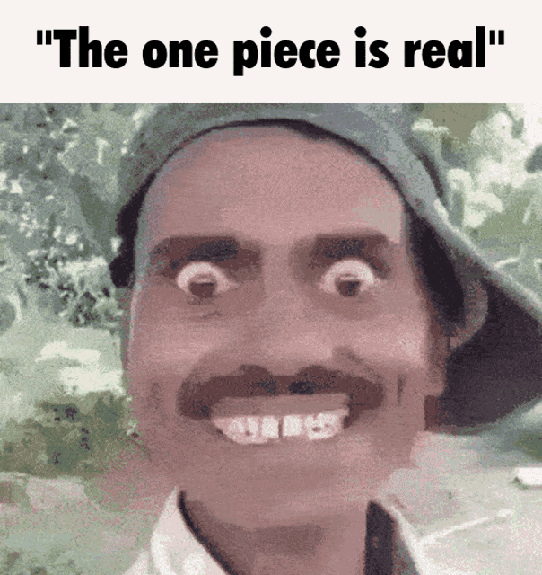 The One Piece The One Piece Is Real GIF - The One Piece The One Piece Is Real The One Piece Is Fake GIFs