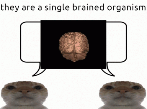 Same Brain Single Brained GIF - Same Brain Single Brained Connection GIFs