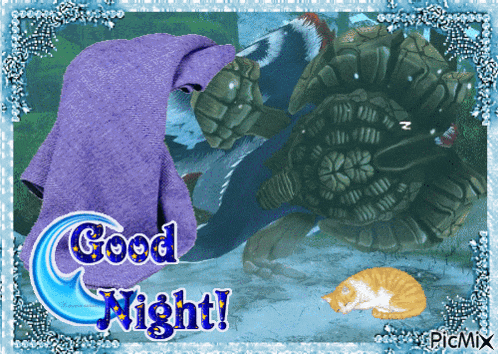 a picture of a turtle and a cat with the words good night