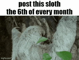 a picture of a sloth with a caption that says post this sloth the 6th of every month .