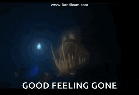 a picture of a fish in the ocean with the words good feeling gone