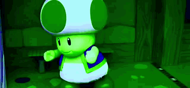 a green and white toad is standing in a dark room .