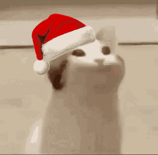 Cat Pog Cat Pog Christmas GIF - Cat Pog Cat Pog Christmas Cat Pog Santa GIFs