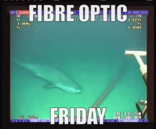 Fiber Optic Friday Eat The Optic Cable GIF - Fiber Optic Friday Eat The Optic Cable Cable Shark GIFs