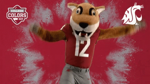 Cougar Cougs GIF - Cougar Cougs Go GIFs