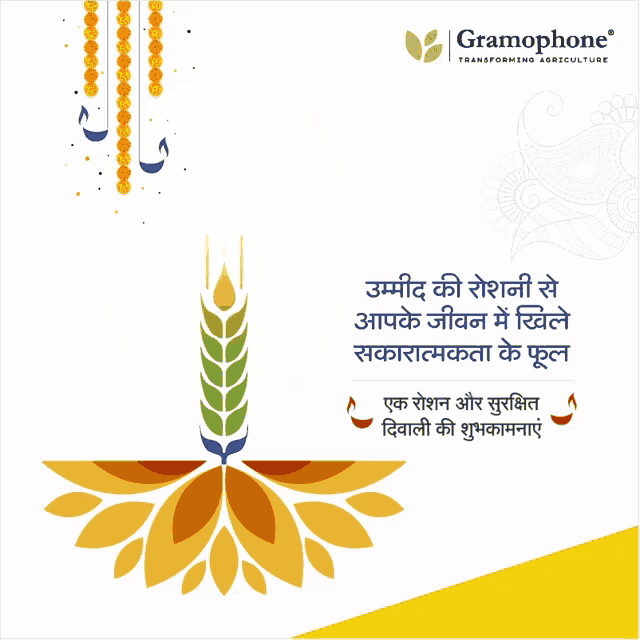 an advertisement for gramophone transforming agriculture with a wheat plant