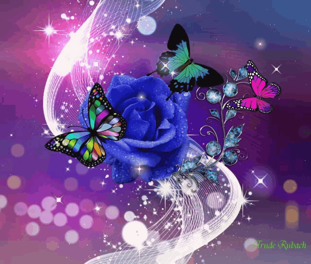 a purple background with a blue rose and butterflies and the name trude rubach