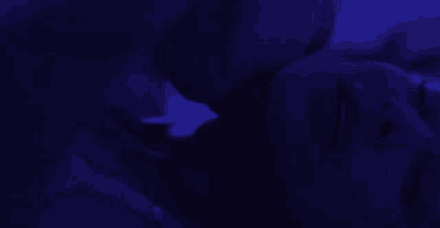 a close up of a person 's face in a dark room with blue lights .