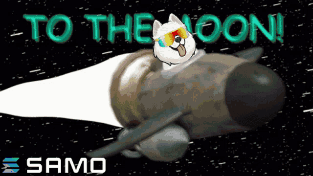 a picture of a dog on a rocket with the words to the moon