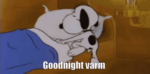 Goodnight Varm Awaken GIF - Goodnight Varm Goodnight Awaken GIFs