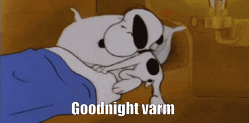 a cartoon of snoopy sleeping in a bed with the words goodnight varm below him