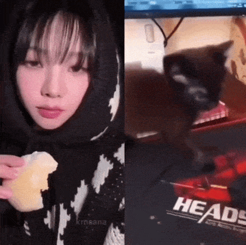 a woman is eating a piece of food next to a cat and a computer monitor .