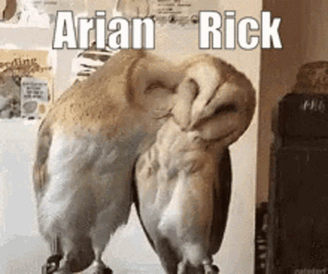 Kiss Arian GIF - Kiss Arian Rick GIFs