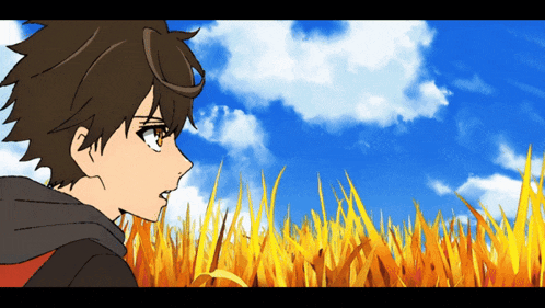 a boy is standing in a field of tall grass with a blue sky behind him