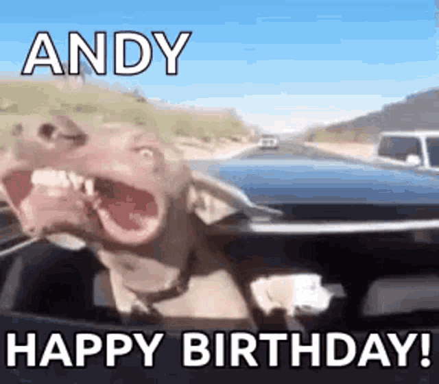 a dog is making a funny face while sitting in a car with its mouth open .
