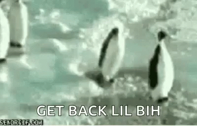 Penguins Slap GIF - Penguins Slap Fight GIFs