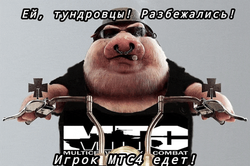 a cartoon pig is riding a motorcycle with a mtc combat logo on the front