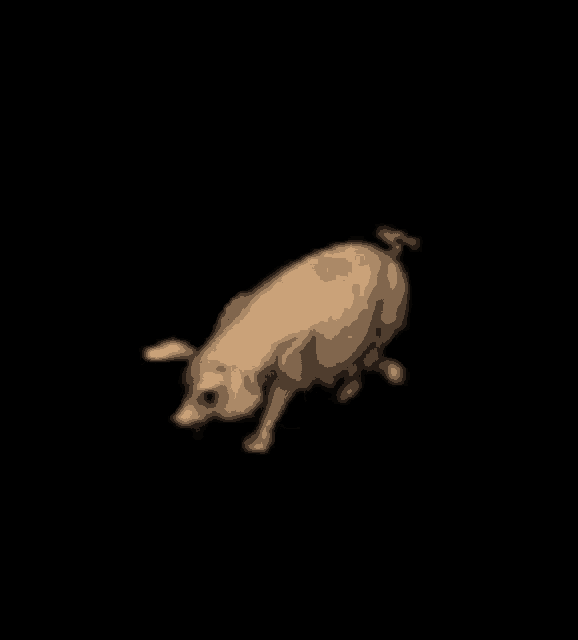 a pig is standing on its hind legs in the dark